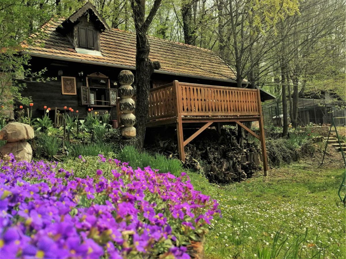 Country House With A Pool In Medvednica Nature Park Zagreb Eksteriør billede
