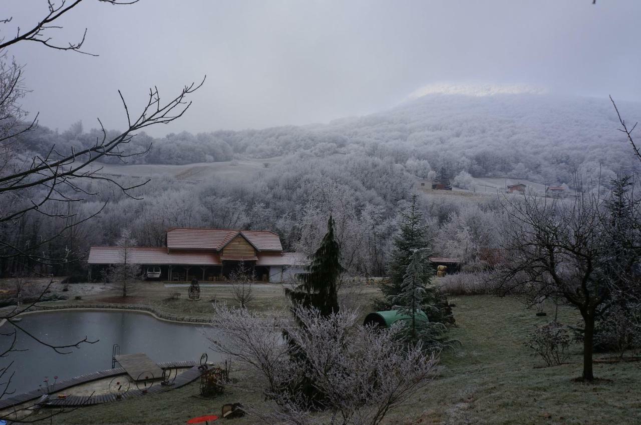 Country House With A Pool In Medvednica Nature Park Zagreb Eksteriør billede